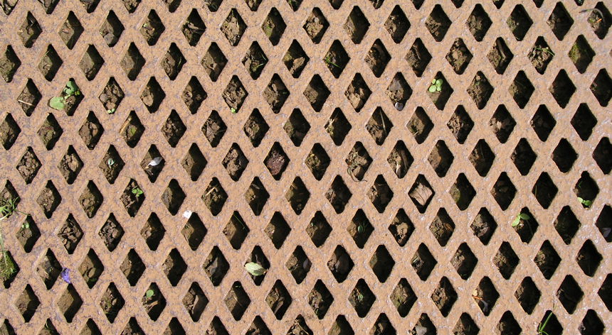 Acer diamond rovellat