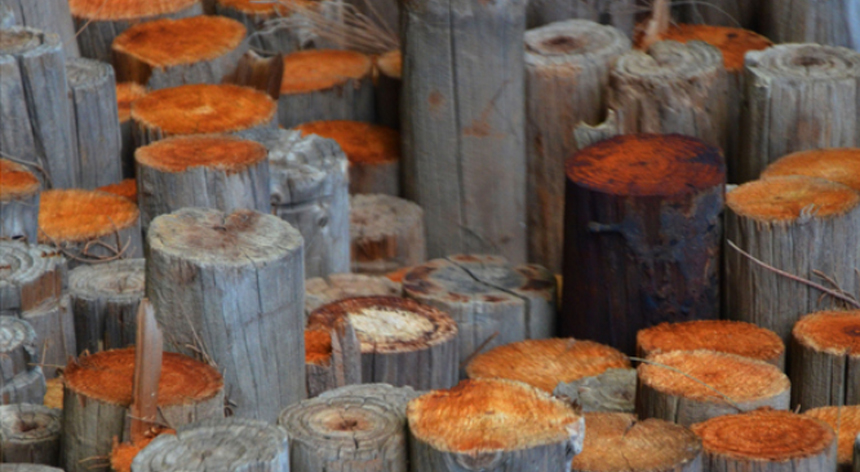 Apilament vertical de troncs