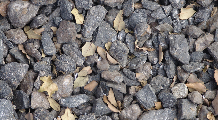 Grava volcànica amb fulles