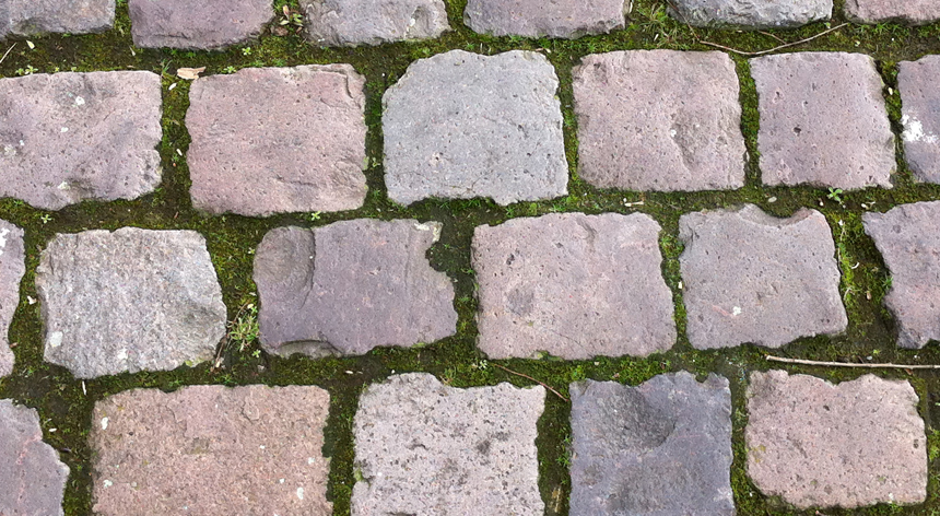 Llamborda granet i molsa