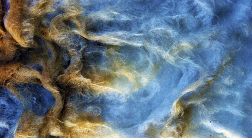 Waves in abstract