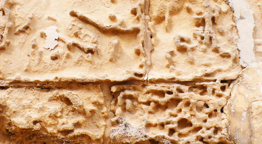 Mur de calcària erosionat