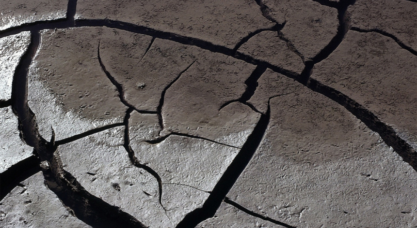 Bodega Bay Mud