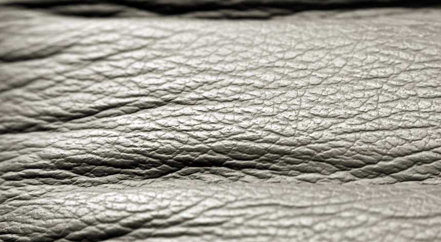 Piel